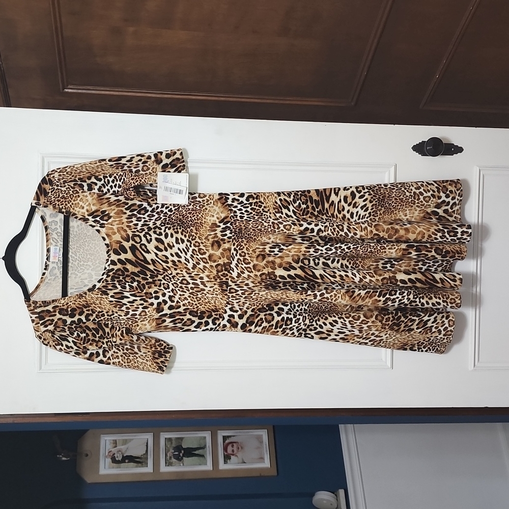 LulaRoe Nicole Dress